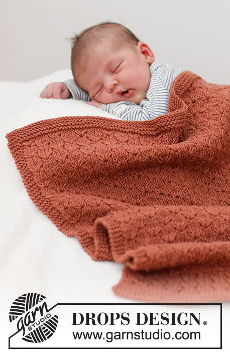 Terracotta Dreams Babyteppe